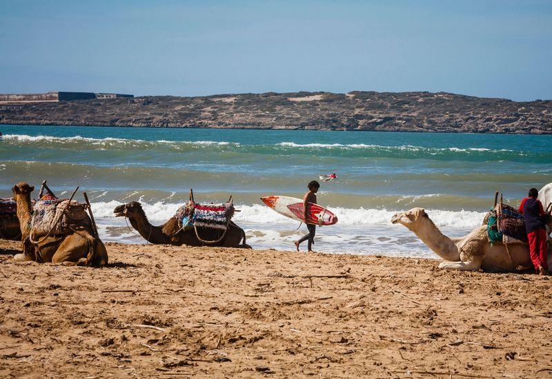  Essaouira Plage