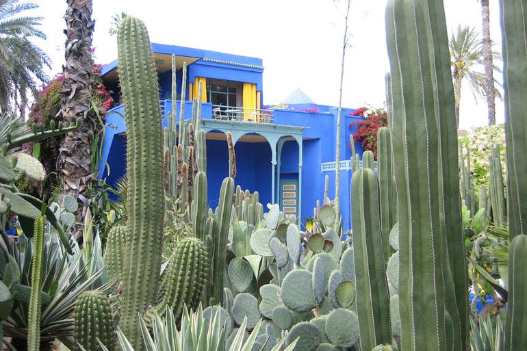  Majorelle Gardens