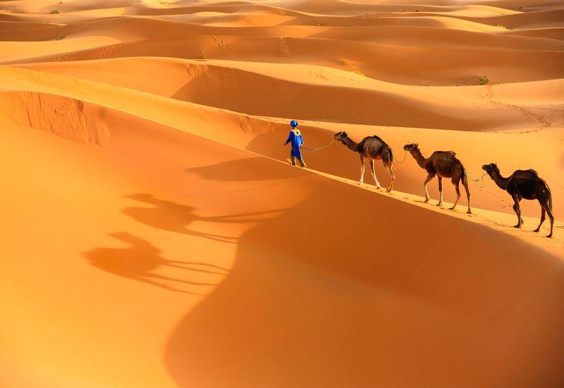  Merzouga