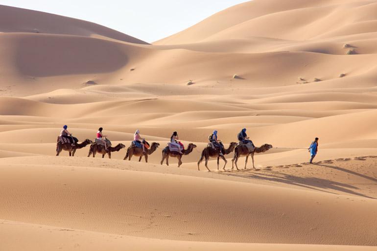  Merzouga Desert