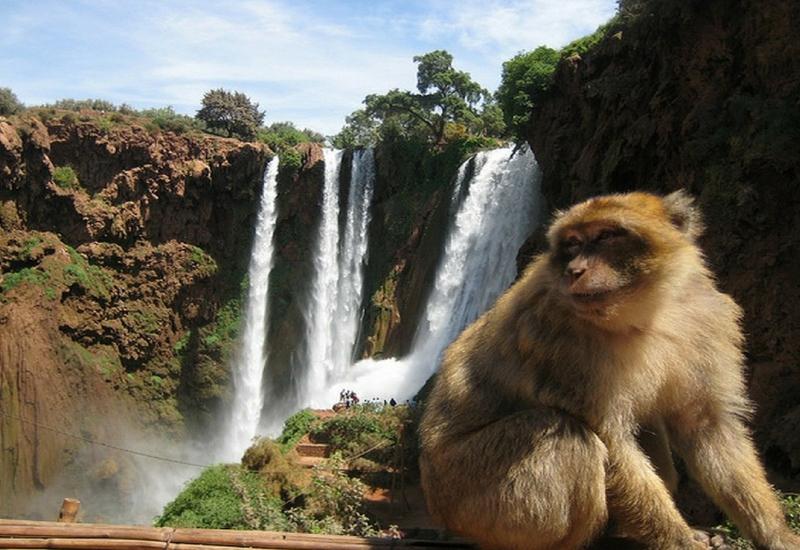  Ouzoud Waterfalls