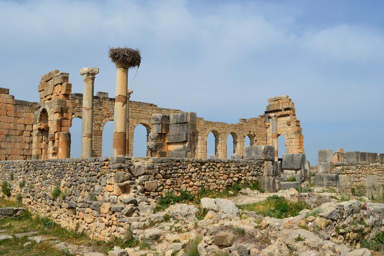  Volubilis