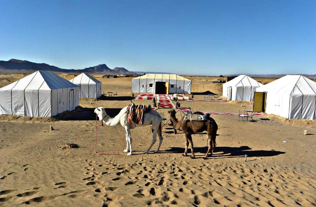  Camping In The Sahara Desert